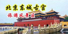 大鸡巴后入操小骚逼中国北京-东城古宫旅游风景区